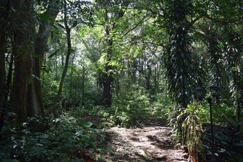 micklefield bungalow