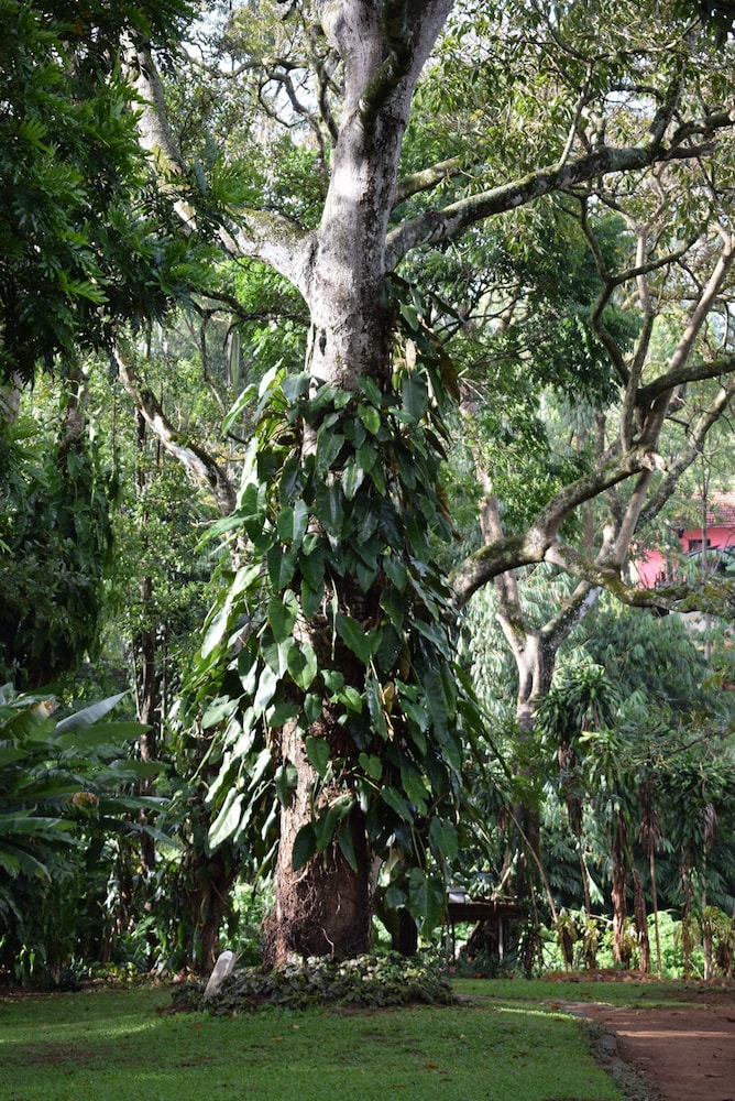 micklefield bungalow