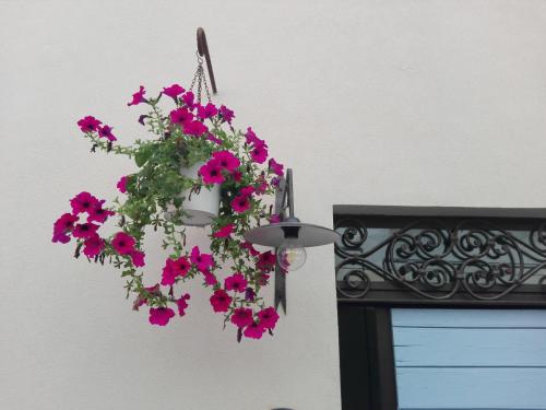 pesaro