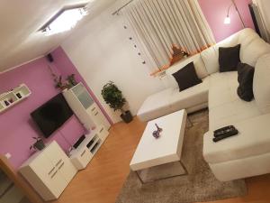 apartments lake bohinj medja
