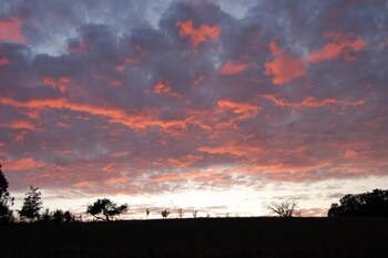 clos de larthonnet