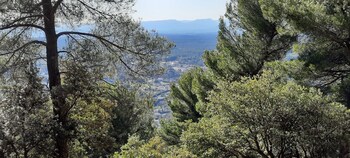 villa lei rigau