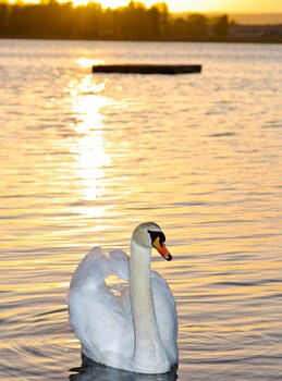 sarpsborg