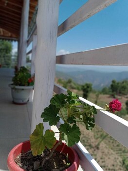 snow view luxury homes