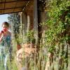 villa san sanino relais in tuscany