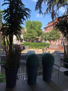 high level apartments