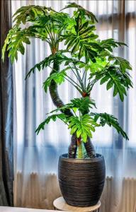 high level apartments