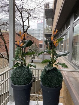 high level apartments