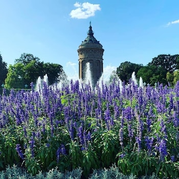 high level apartments