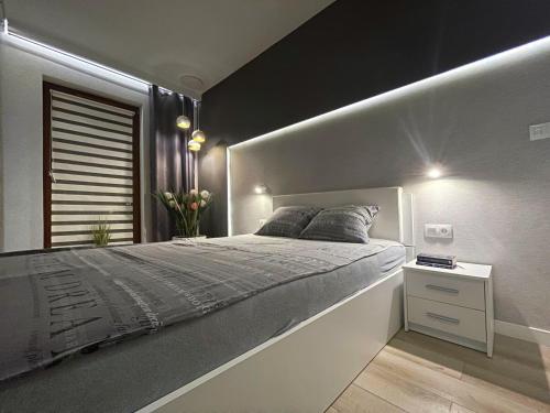 4uapart apartment suite platan grey