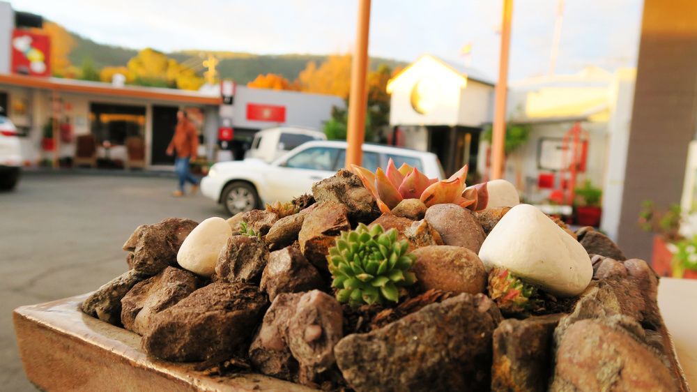 junction motel new norfolk