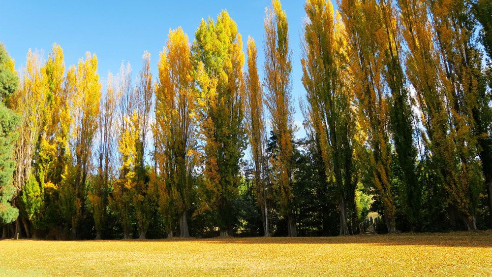 junction motel new norfolk