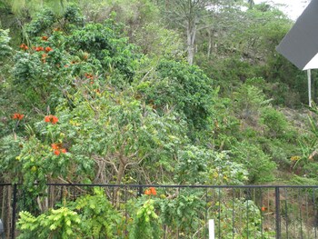 jazmin apartments vacations