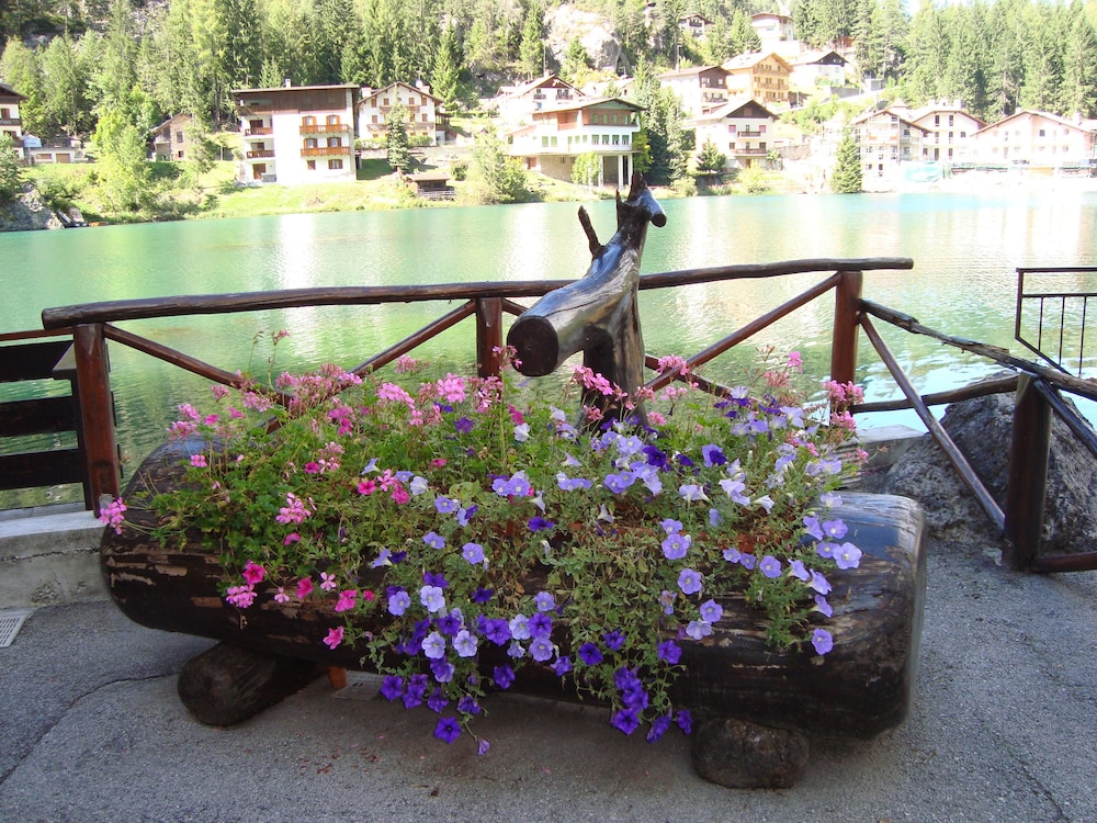 hotel adriana