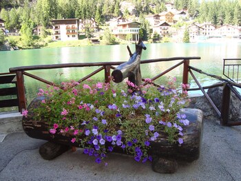 hotel adriana