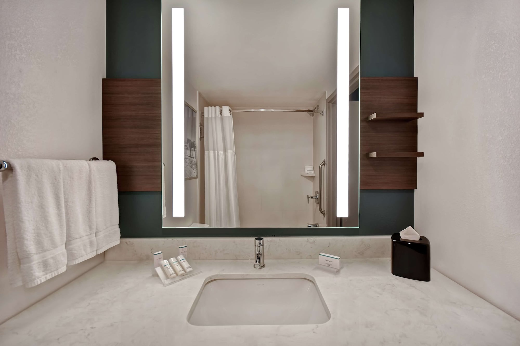 hilton garden inn houston galleria area