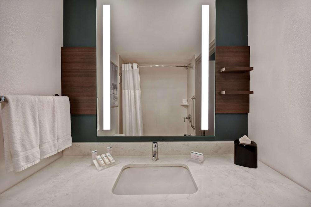 hilton garden inn houston galleria area