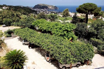 hotel pensione monti