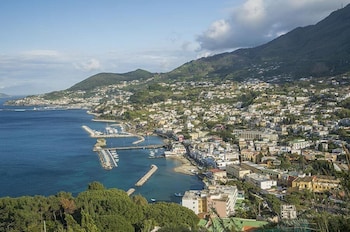 hotel pensione monti