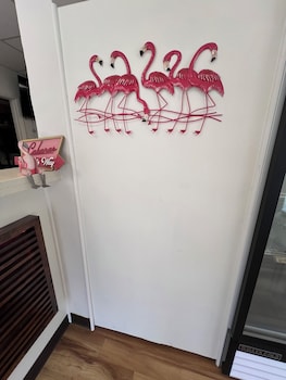flamingo inn beachfront