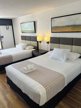 flamingo inn beachfront