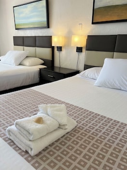 flamingo inn beachfront