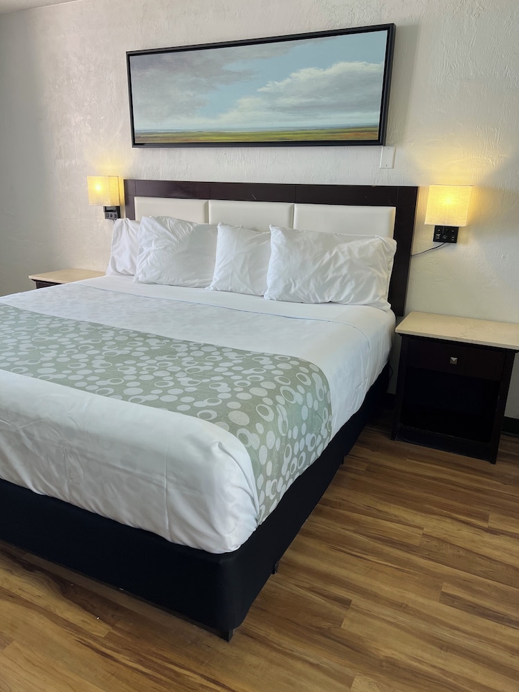 flamingo inn beachfront