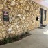 flamingo inn beachfront