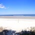 flamingo inn beachfront