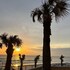 flamingo inn beachfront