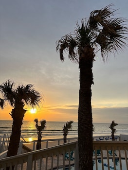 flamingo inn beachfront