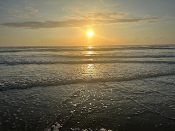 flamingo inn beachfront