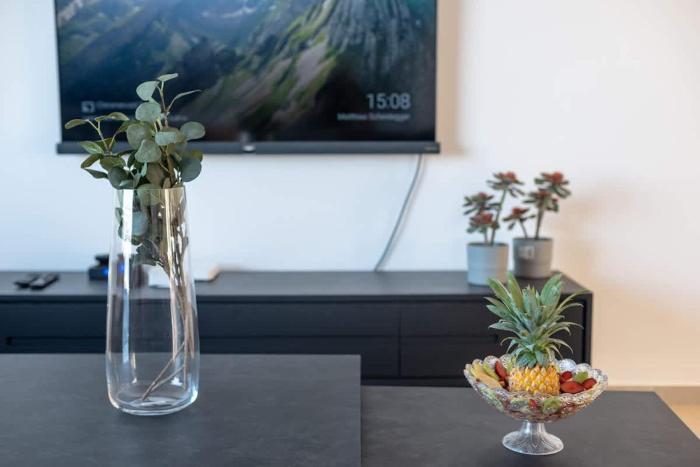 dov garden apartment with private pool