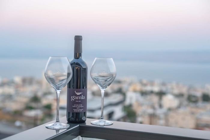 dov garden apartment with private pool