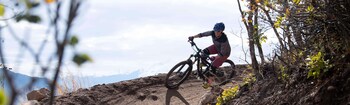 silverthorne