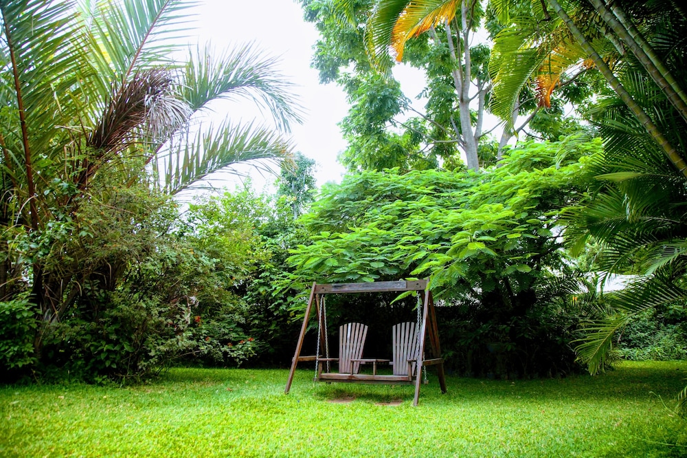 lush gardens apartment 1