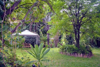 lush gardens apartment 1