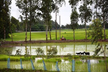 Backpackers Eco Village,Dayapur>>Basirhat,3 star