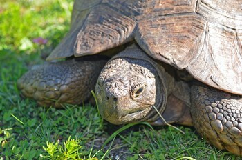 sonnekus boutique hotel and bistro