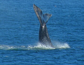 sonnekus boutique hotel and bistro