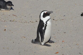 sonnekus boutique hotel and bistro