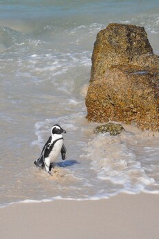 sonnekus boutique hotel and bistro