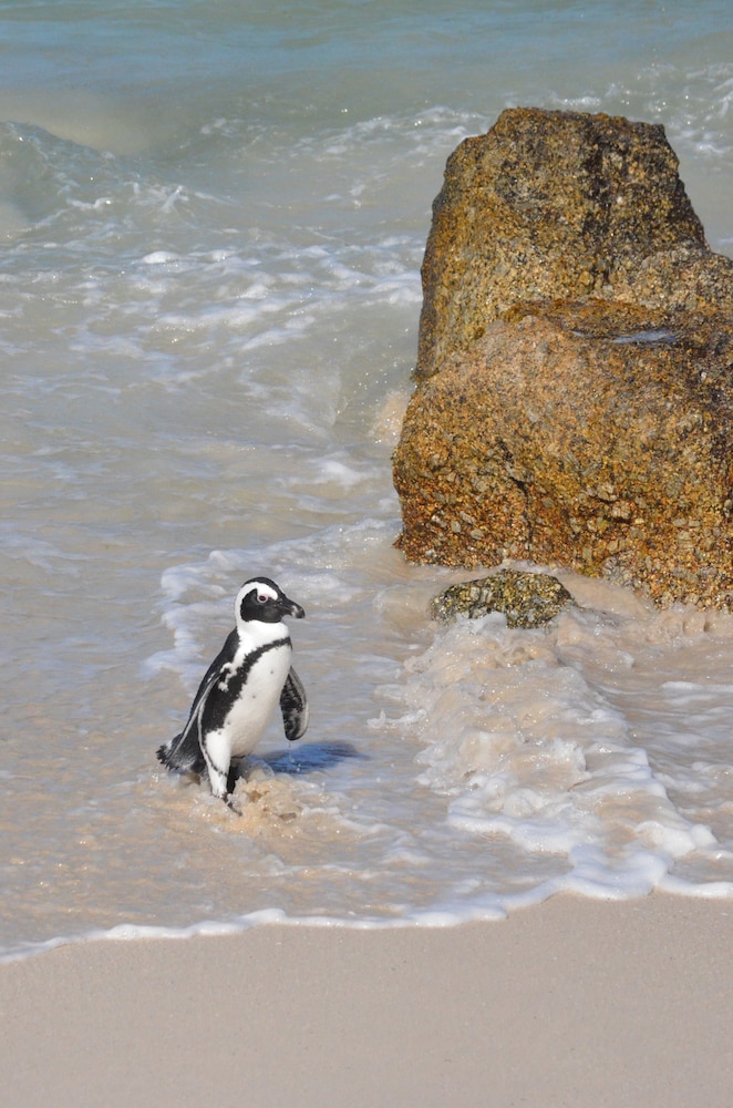 sonnekus boutique hotel and bistro