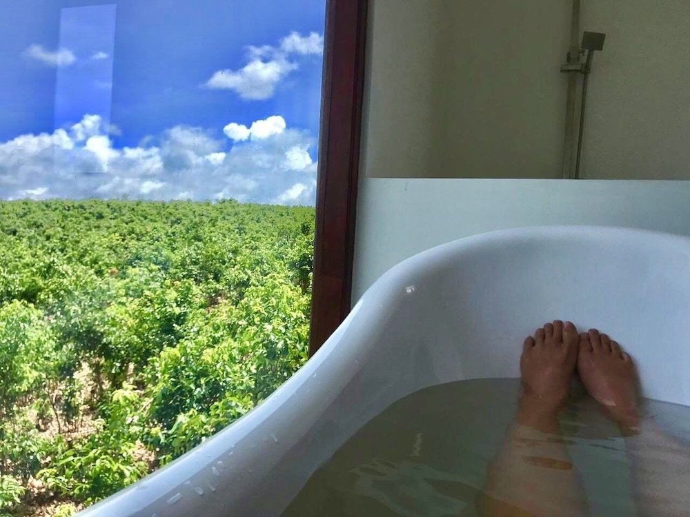 bobos cinnamon estate sri lanka