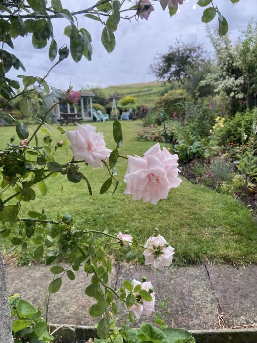 wydon farm bandb