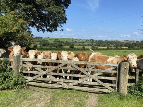 wydon farm bandb