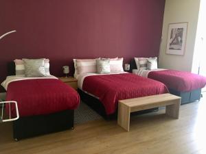 bernard homestay
