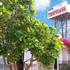 tropicana hotel bahrain