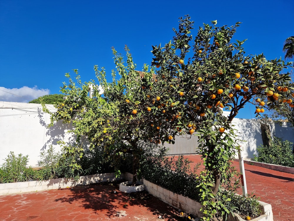 villa costa marbella