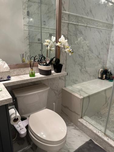 vancouver west cozy retreat by host launch